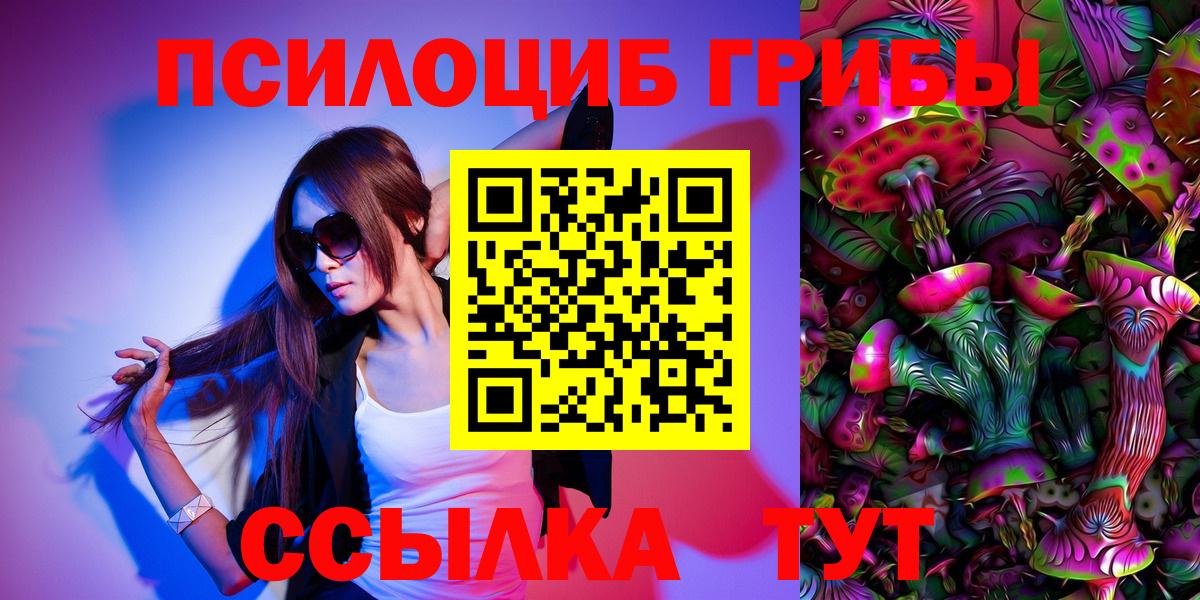 Волхов  Галлюциногенные грибы Magic Shrooms  Галлюциногенные грибы Psilocybine cubensis  Вход с VPN 
